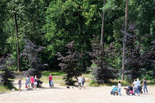 RCN het Grote Bos