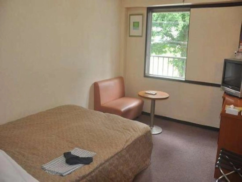 Okazaki Single Hotel