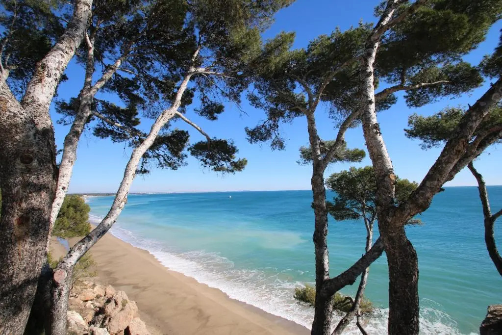 Paraíso