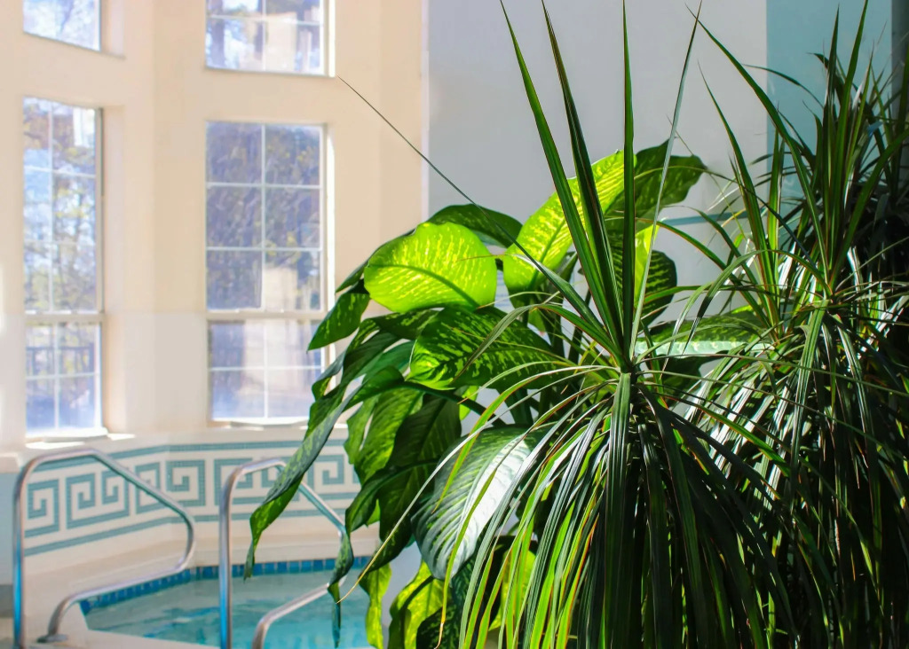 Senator Inn & Spa