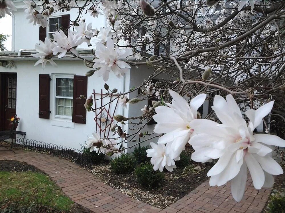 1777 Americana Inn