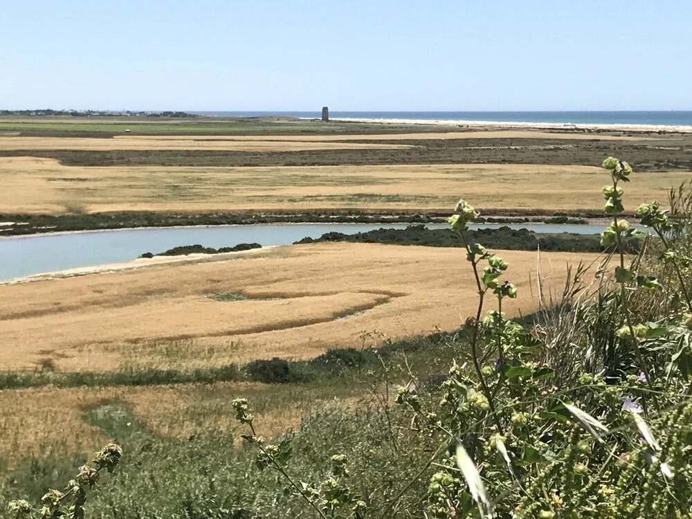 Apartment With 3 Bedrooms in Conil de la Frontera, With Wonderful Lake