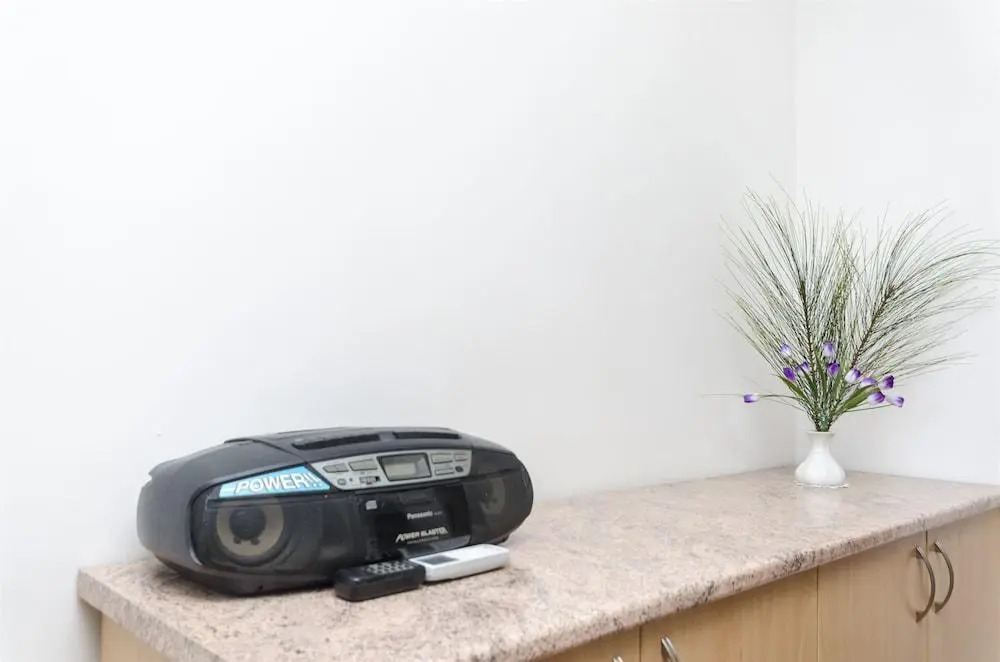 Apartment Branka