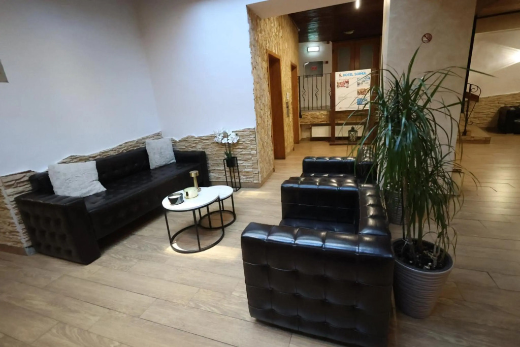 Hotel Soimul