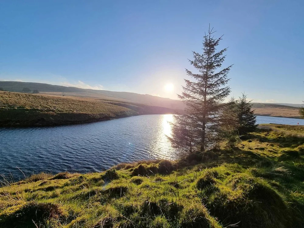 Foresters Retreat Glamping - Cambrian View- Vaccinated dogs over the age of 2 are accepted