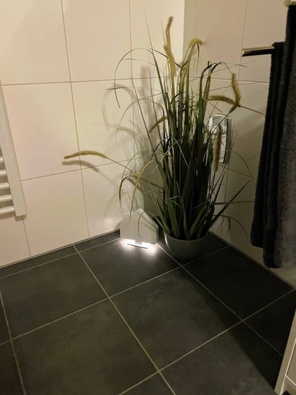 Apartment zur Wiege Anhalts