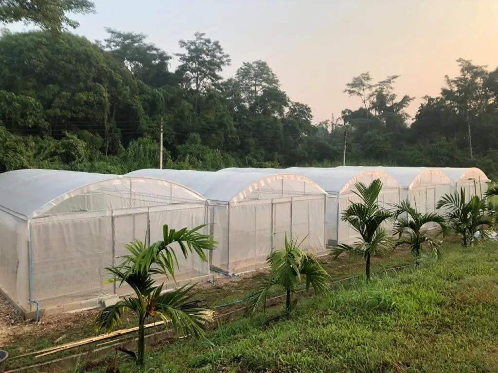 Ing Chan Farm /ไร่อิงจันทร์