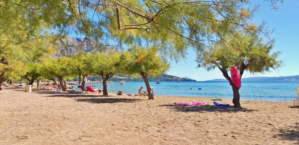 Studio on the Beach - Docine