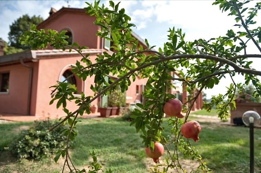 Podere Chiaromonte