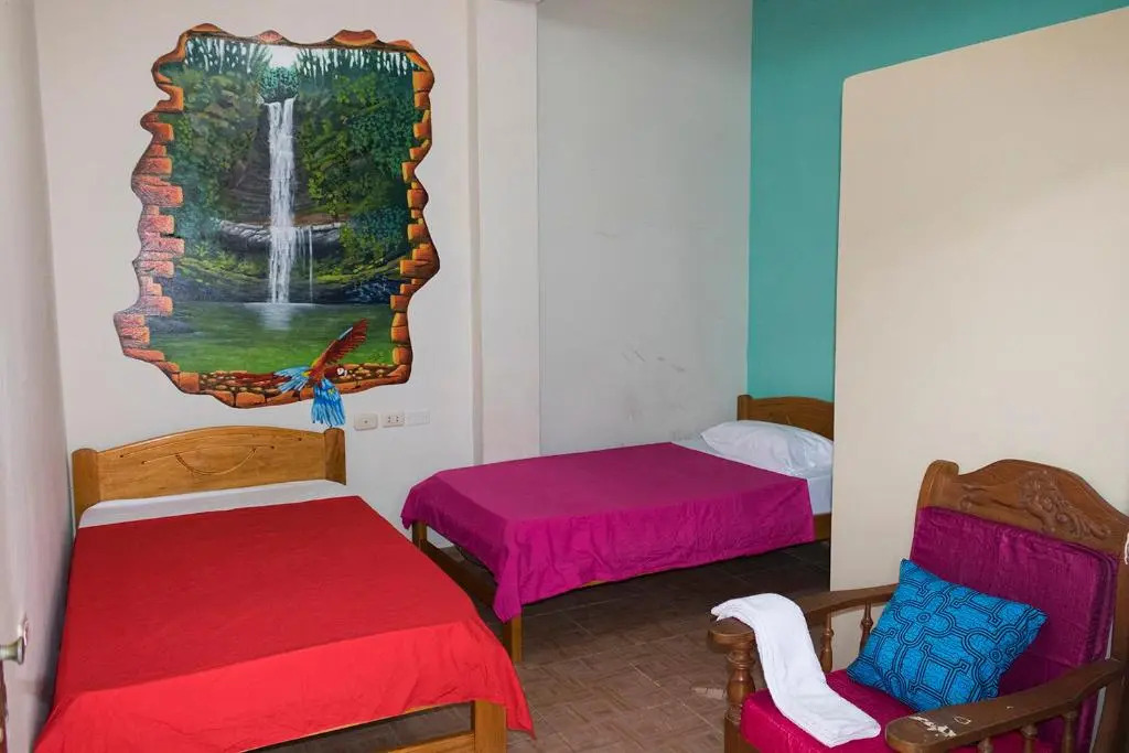 Shoffis House Backpackers