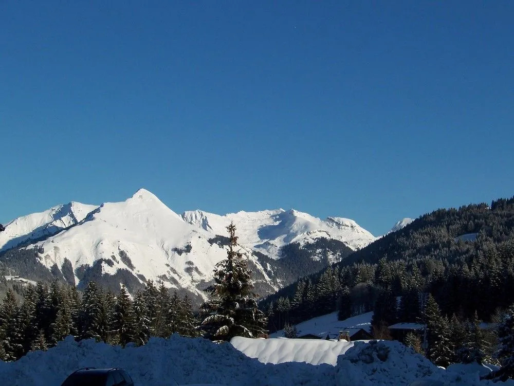 La Boule de Neige