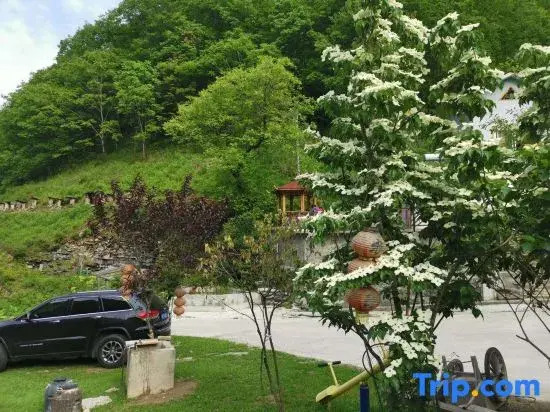 Shennongjia Bear Infestation Homestay