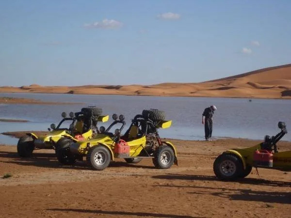 Camel Safari Camp