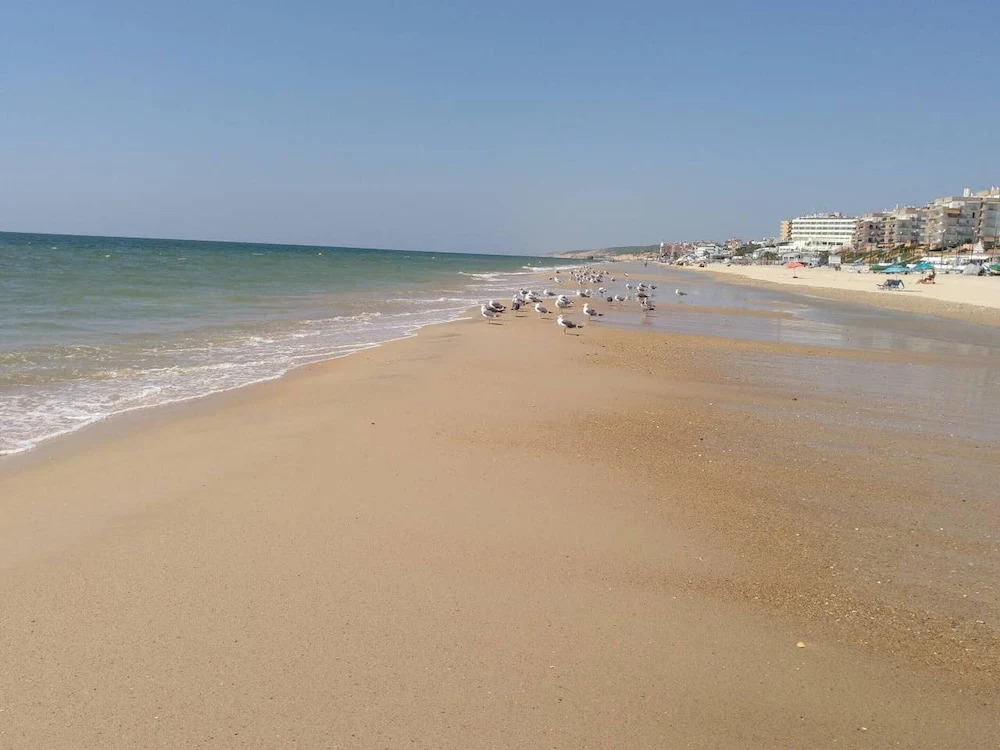 Apartment With 3 Bedrooms in Matalascañas  Almonte, With Wonderful sea View, Shared Pool and Furnished Terrace Near the Beach