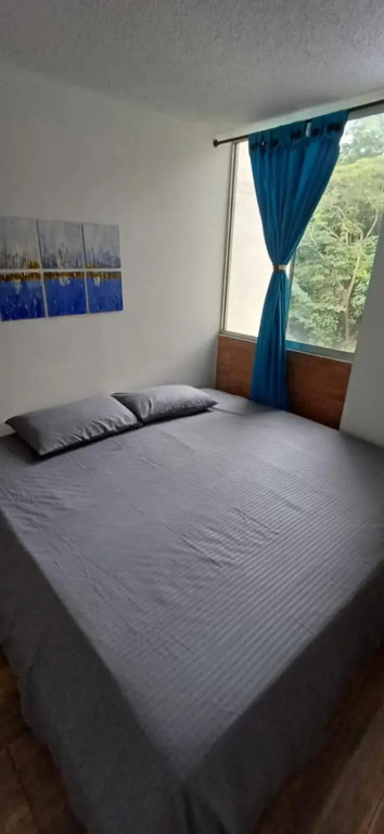 Hermoso, central y natural apartamento en Pereira