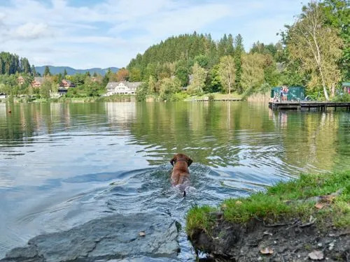 Sonnenresort Maltschacher See 19302
