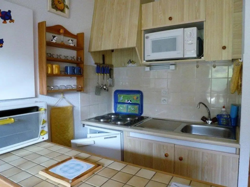 Studio Le Biot, 1 pièce, 4 personnes - FR-1-573-23