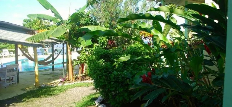 Hotel Jamaican Colors