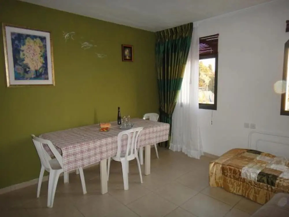 Zimmer Lemon Tree