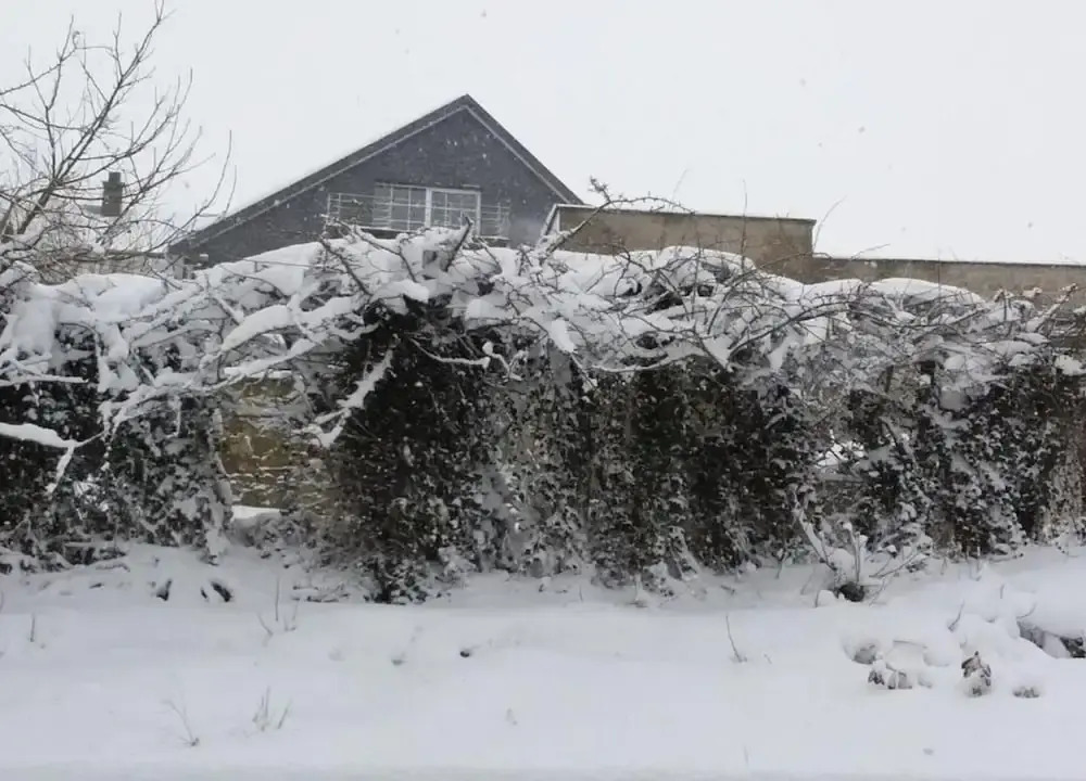 Lovely Cottage in Waimes near Lake