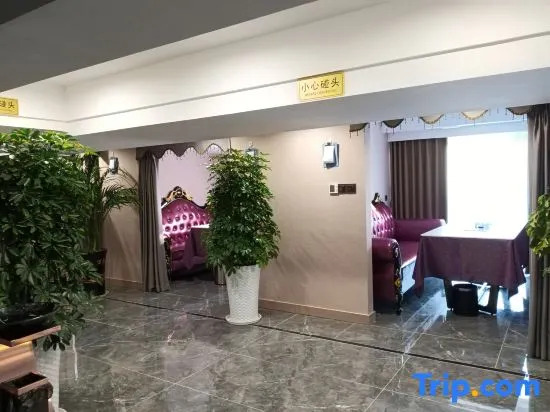 Overseas Chinese Ted Hotel