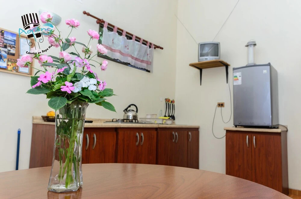 Hostal y Cabañas Aorangi