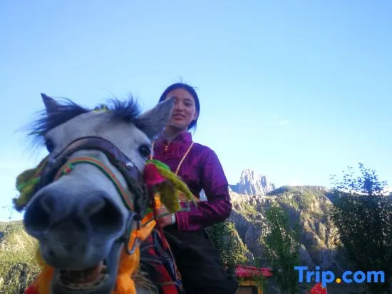 Daocheng Yading Sangjie Linka Luxury Homestay