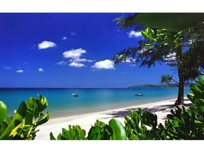 Natural Touch Superb 2 Bedrooms Villa
