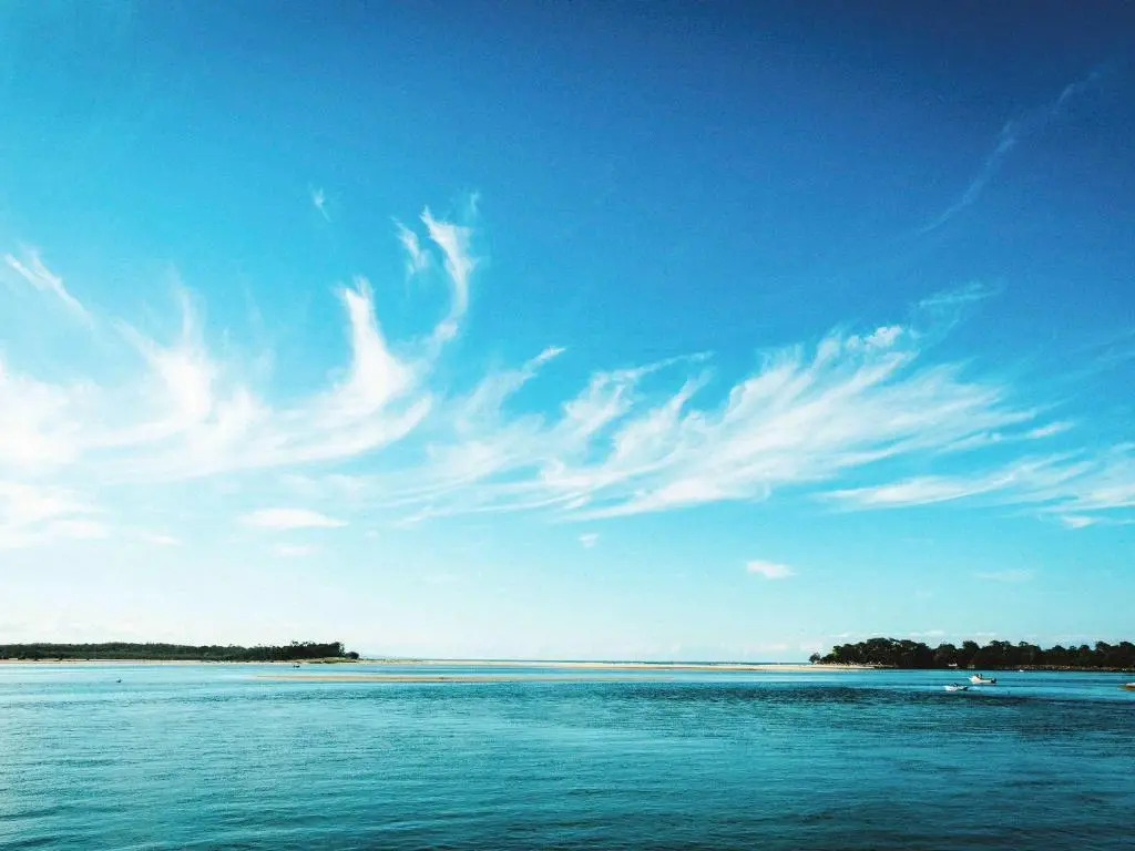 The Sebel Noosa
