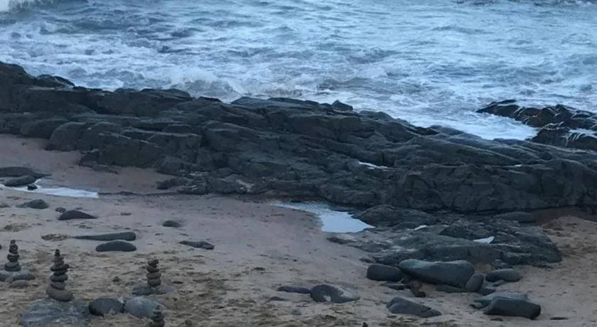 Beach Forest Lodge