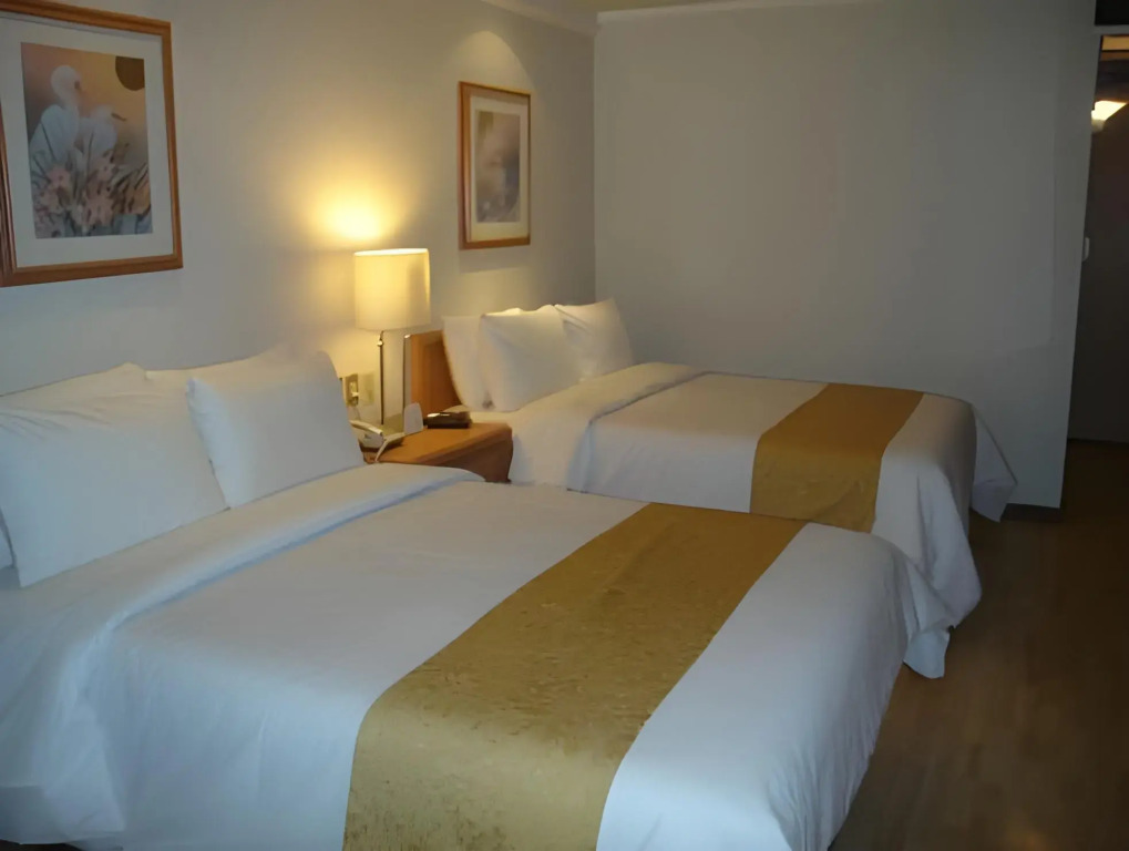 Hotel PF
