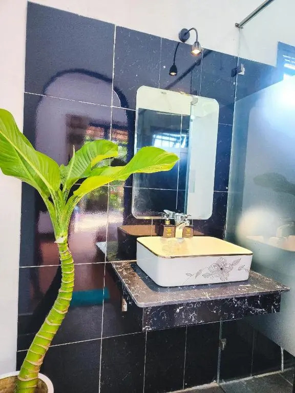 Dragon Sea Homestay