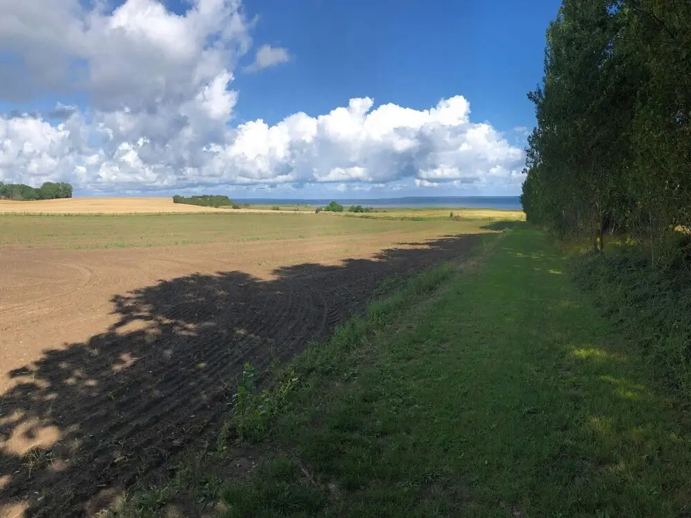 4 Person Holiday Home in Jaegerspris