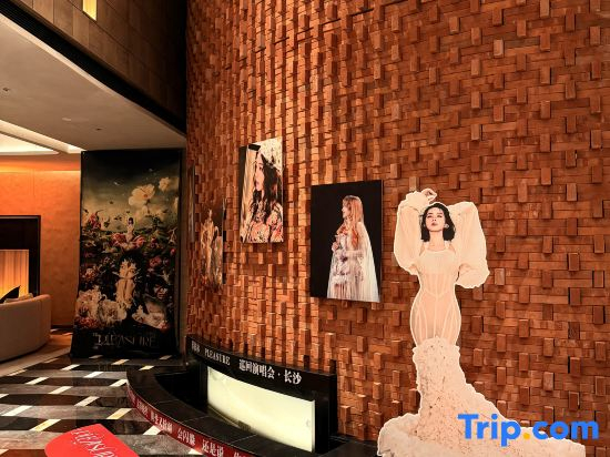 Wuyi Square Mehood Elegant Hotel of Changsha