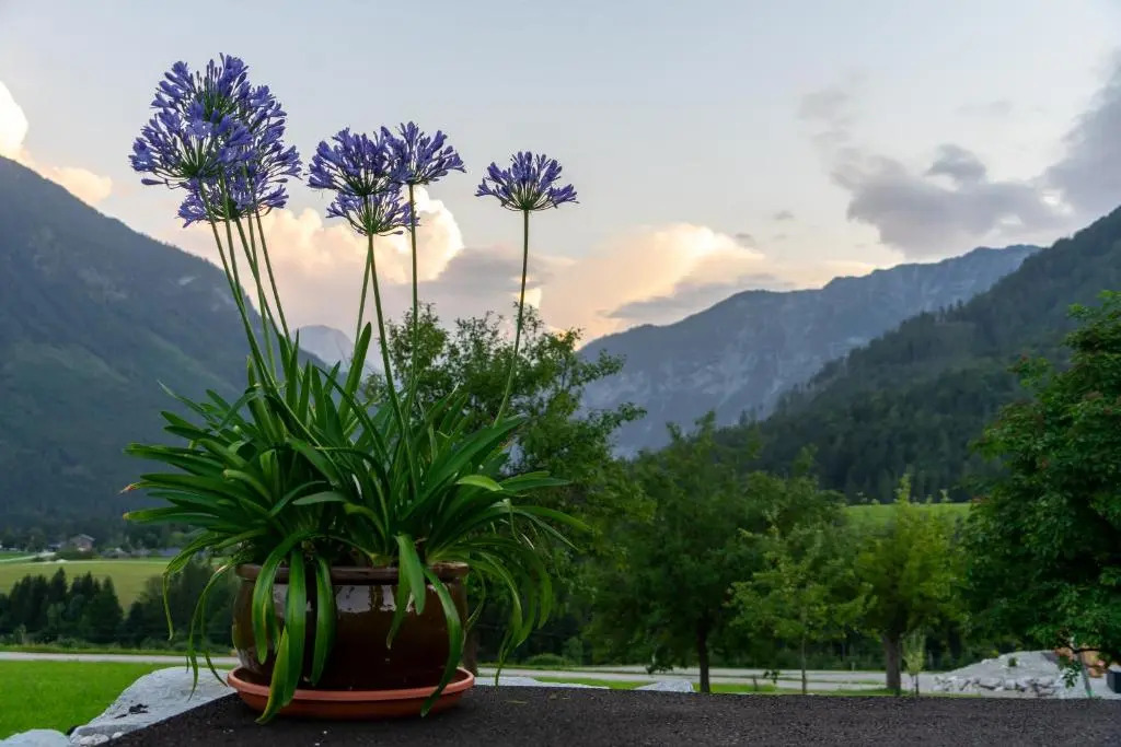 Lovely house with mountain view & big garden in Bad Aussee