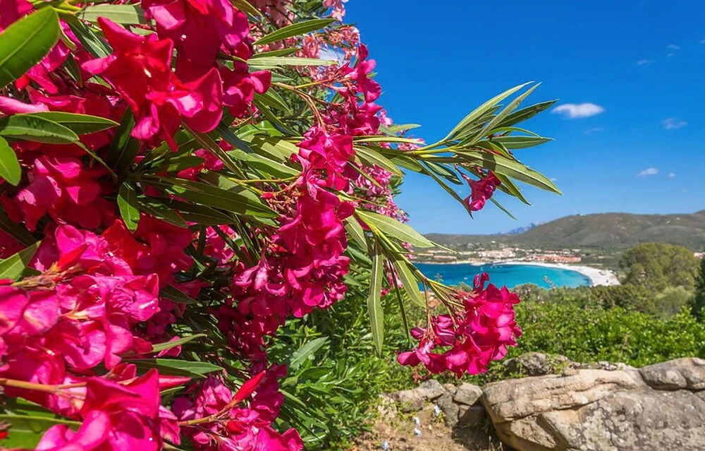 Stunning Home in Golfo di Marinella With 2 Bedrooms
