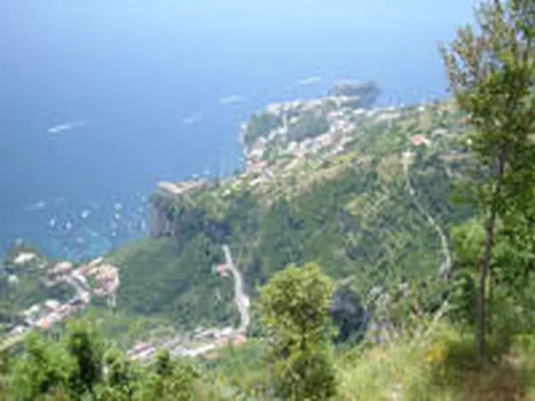 vecchio west
