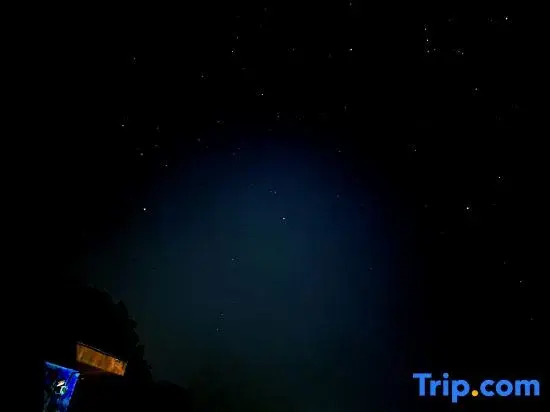 Cloud Tree Inn Boutique Guesthouse-Yun Shu Li