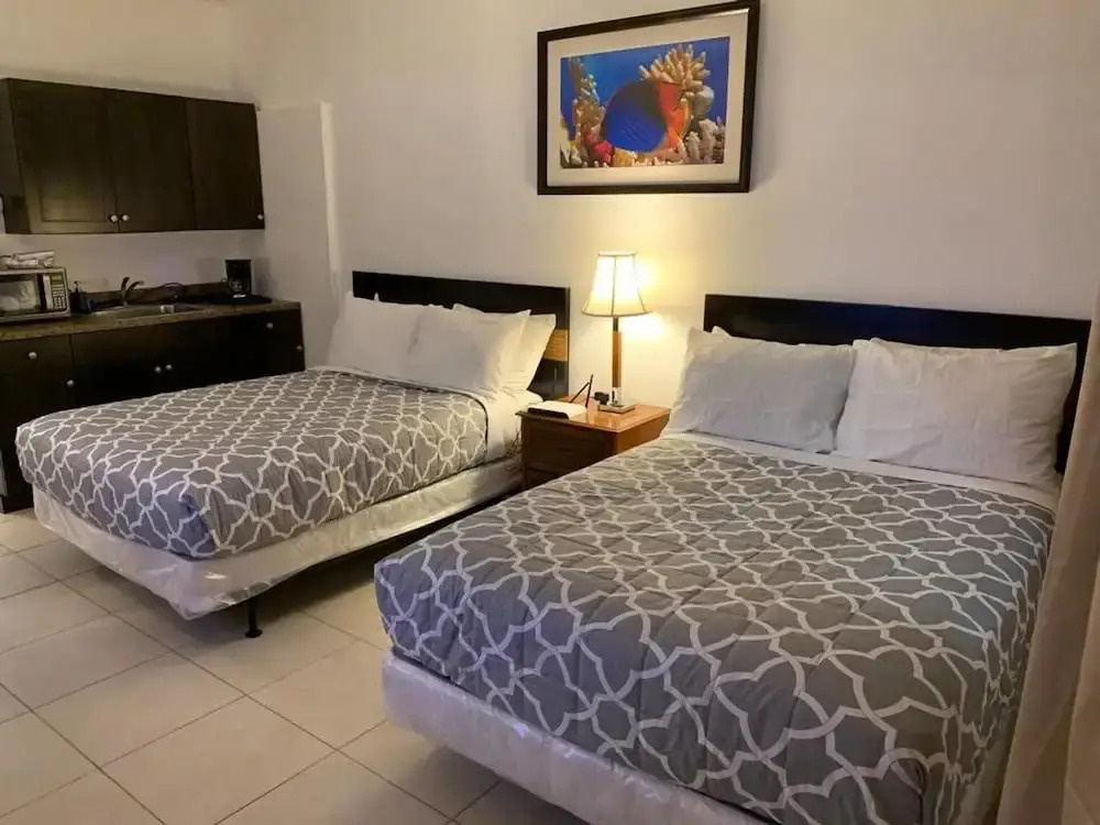 Beautiful cozy 1br apartment walk from the ocean!