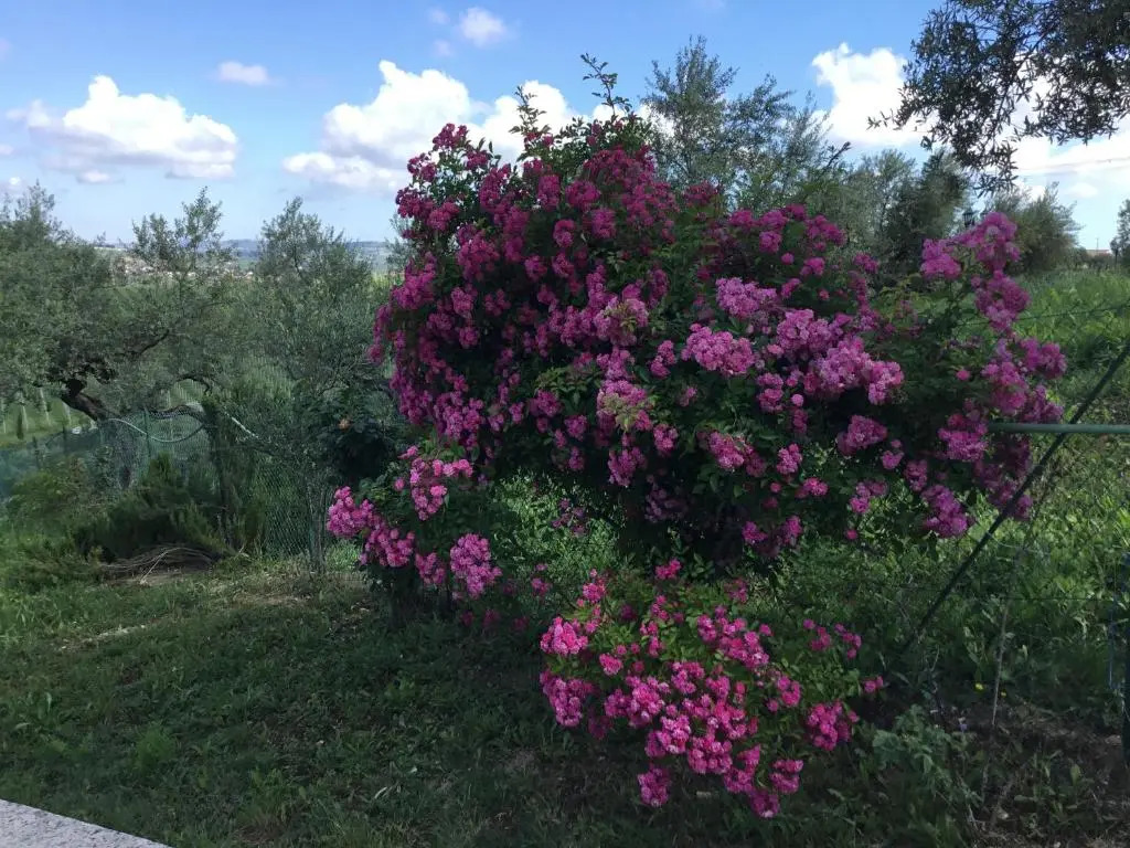 Appartamento Sole