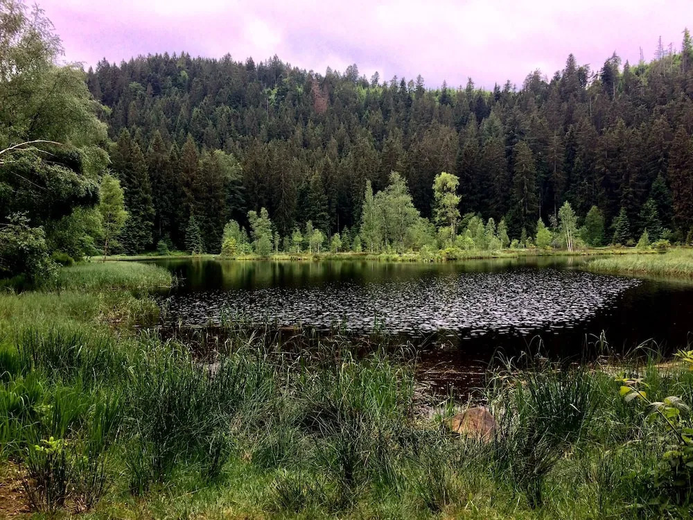 Wellness & Genuss Resort - Engel Obertal