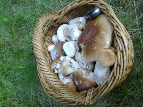 Penzión pod Kýčerou