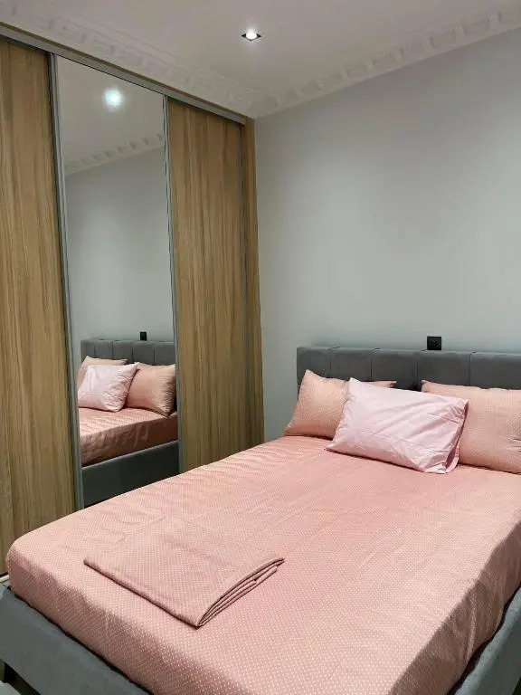 Furnished apartment (in the city center)