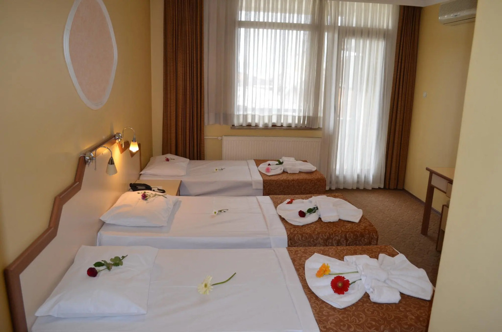 Ayvalık Palas Hotel