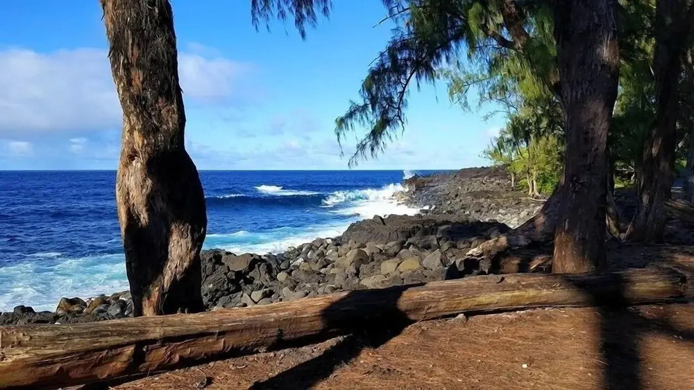 Hale O'hia Lehua 3 Bedroom Home by RedAwning