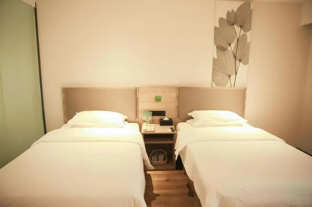 GreenTree Inn ShanXi LuLiang FengShan Road Central Park Express Hotel