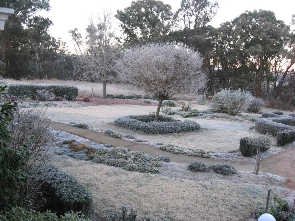Whiskey Gully Cottages