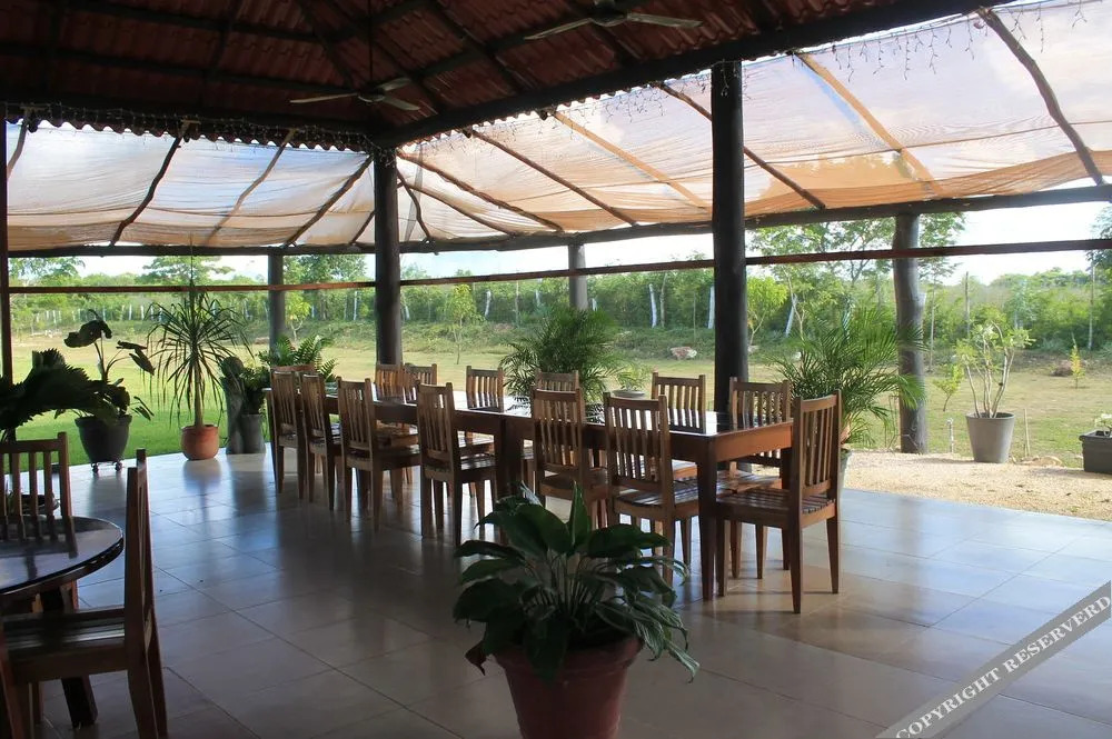 Real Primaveras Campestre