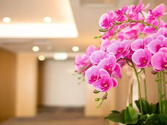 Yurong International Hotel