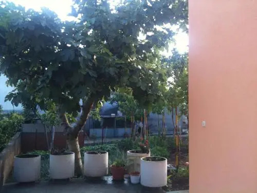 Guest House Cvita